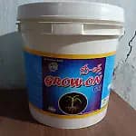 Photo 3