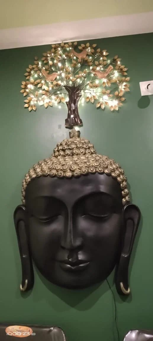 BluMango PG and Homestay, Mysuru