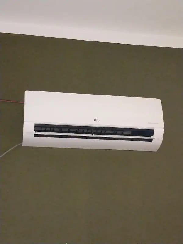 3 Month Old AC