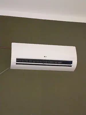 3 Month Old AC