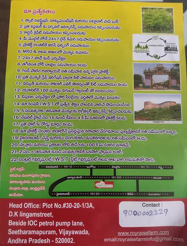 srigandham plantation. podili praksam district