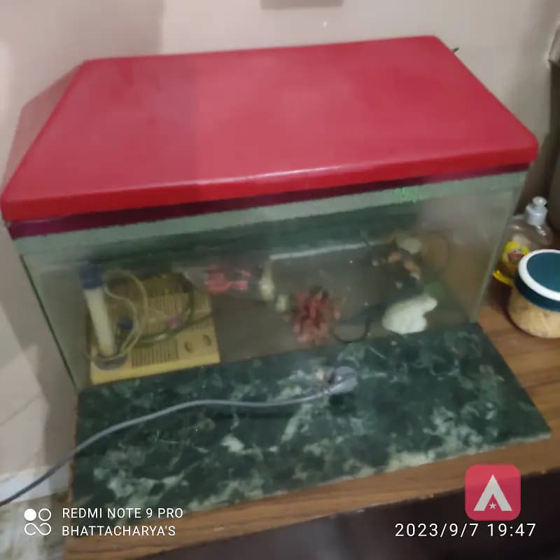aquarium new ha
