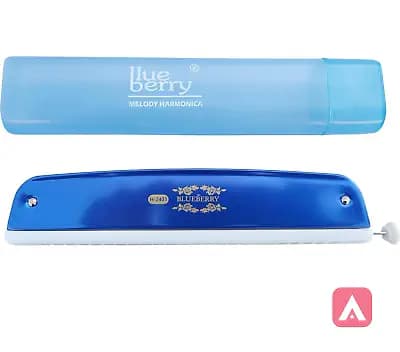 Blue berry Mouth harmonica.