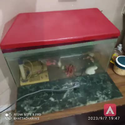 aquarium new ha