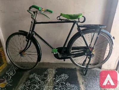rally cycle