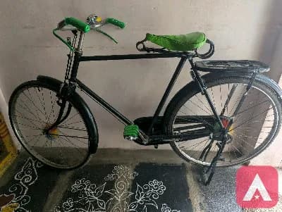 rally cycle