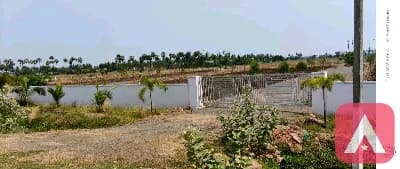 open plots