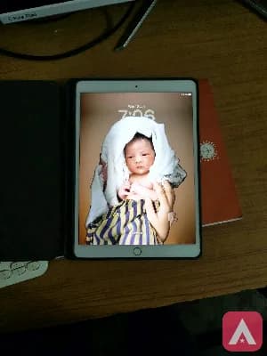 Ipad Air 3 A2152