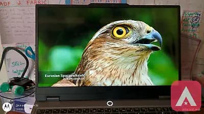 Lenovo LOQ Gaming (NVIDIA 4050) Laptop 15irx9, 24GB, 500GB, i5-13th Gen