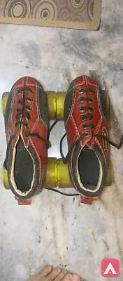 Shoe Skates