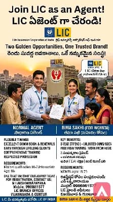 Insurance Agent